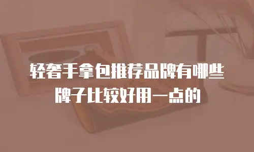 轻奢手拿包推荐品牌有哪些牌子比较好用一点的