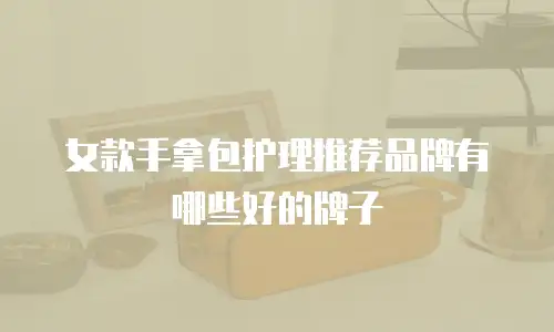 女款手拿包护理推荐品牌有哪些好的牌子