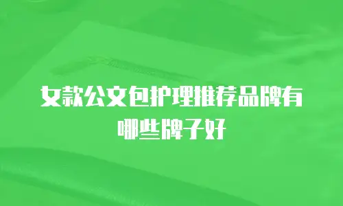 女款公文包护理推荐品牌有哪些牌子好