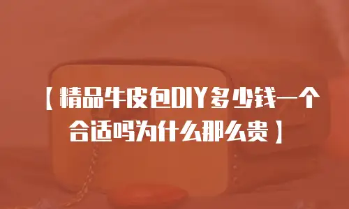 【精品牛皮包DIY多少钱一个合适吗为什么那么贵】