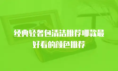 经典轻奢包清洁推荐哪款最好看的颜色推荐