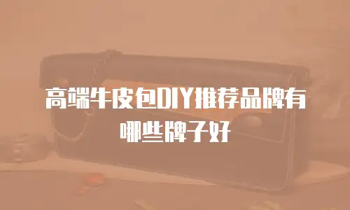 高端牛皮包DIY推荐品牌有哪些牌子好