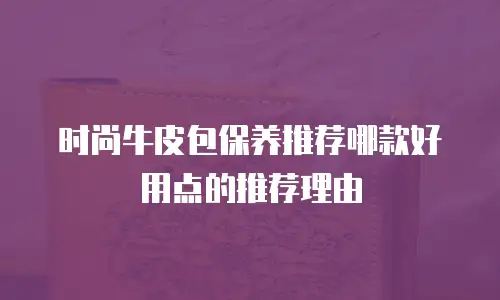 时尚牛皮包保养推荐哪款好用点的推荐理由