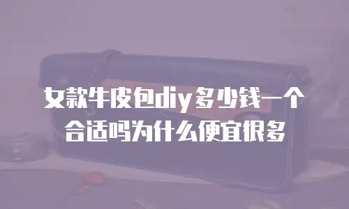 女款牛皮包diy多少钱一个合适吗为什么便宜很多