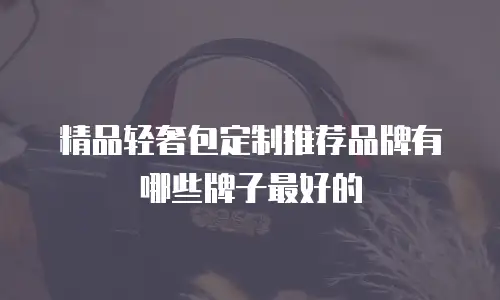 精品轻奢包定制推荐品牌有哪些牌子最好的