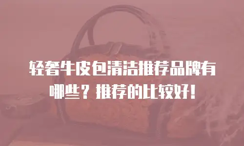 轻奢牛皮包清洁推荐品牌有哪些？推荐的比较好！
