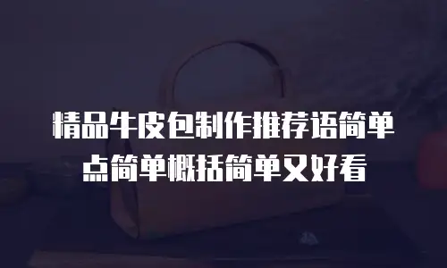 精品牛皮包制作推荐语简单点简单概括简单又好看
