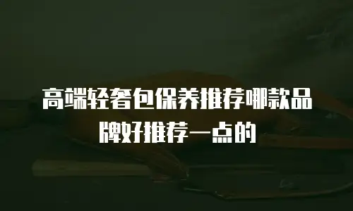 高端轻奢包保养推荐哪款品牌好推荐一点的