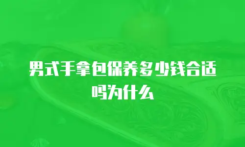 男式手拿包保养多少钱合适吗为什么