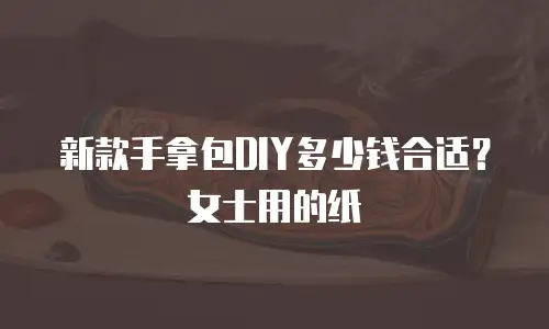 新款手拿包DIY多少钱合适？女士用的纸