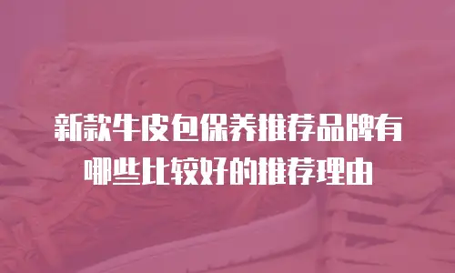 新款牛皮包保养推荐品牌有哪些比较好的推荐理由