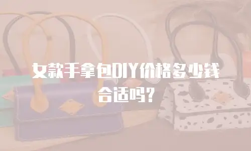 女款手拿包DIY价格多少钱合适吗？
