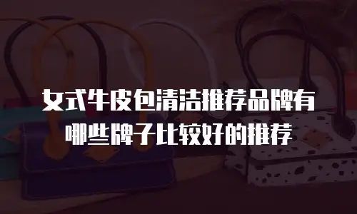 女式牛皮包清洁推荐品牌有哪些牌子比较好的推荐