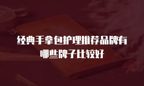 经典手拿包护理推荐品牌有哪些牌子比较好