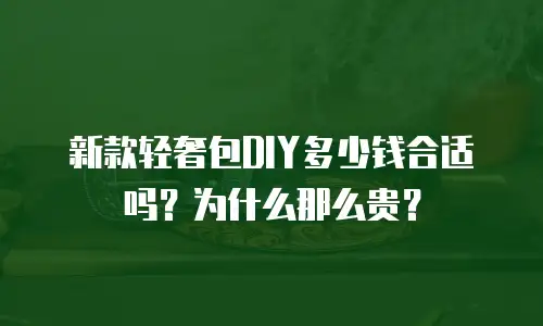 新款轻奢包DIY多少钱合适吗？为什么那么贵？