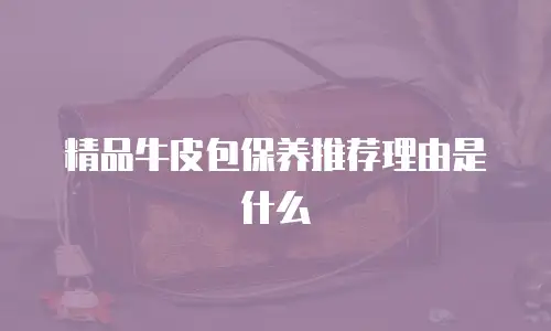 精品牛皮包保养推荐理由是什么