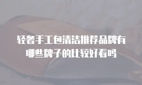 轻奢手工包清洁推荐品牌有哪些牌子的比较好看吗