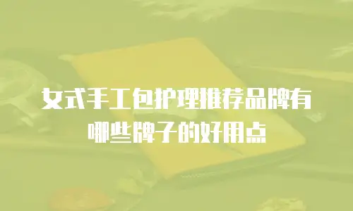 女式手工包护理推荐品牌有哪些牌子的好用点