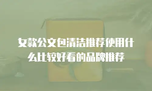 女款公文包清洁推荐使用什么比较好看的品牌推荐