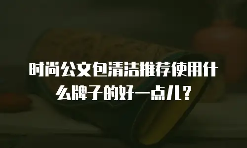 时尚公文包清洁推荐使用什么牌子的好一点儿？