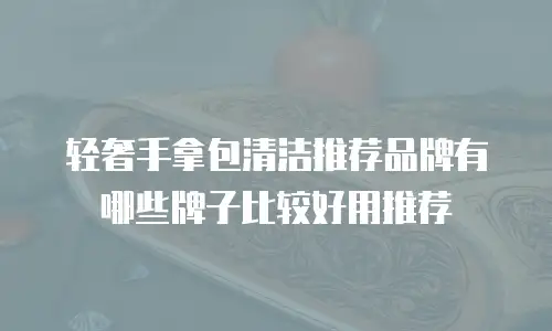 轻奢手拿包清洁推荐品牌有哪些牌子比较好用推荐