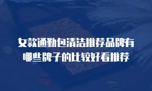 女款通勤包清洁推荐品牌有哪些牌子的比较好看推荐