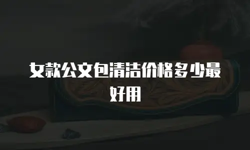女款公文包清洁价格多少最好用