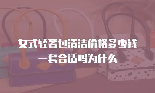 女式轻奢包清洁价格多少钱一套合适吗为什么