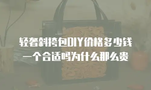 轻奢斜挎包DIY价格多少钱一个合适吗为什么那么贵