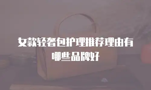 女款轻奢包护理推荐理由有哪些品牌好
