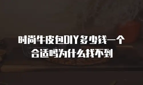 时尚牛皮包DIY多少钱一个合适吗为什么找不到