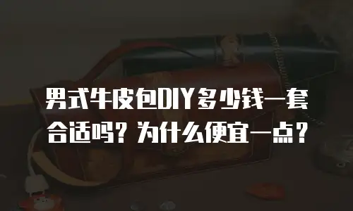 男式牛皮包DIY多少钱一套合适吗？为什么便宜一点？