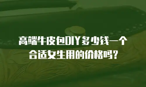 高端牛皮包DIY多少钱一个合适女生用的价格吗？