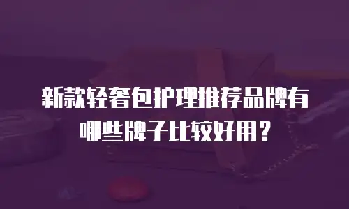 新款轻奢包护理推荐品牌有哪些牌子比较好用？