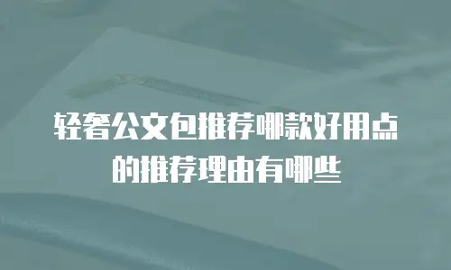 轻奢公文包推荐哪款好用点的推荐理由有哪些