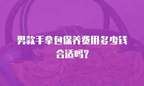男款手拿包保养费用多少钱合适吗？