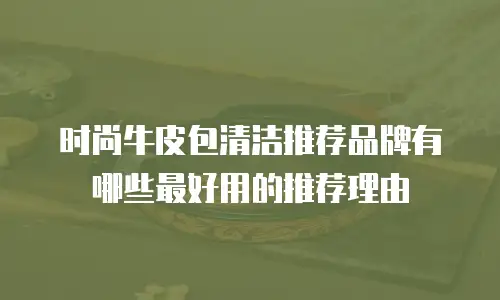 时尚牛皮包清洁推荐品牌有哪些最好用的推荐理由