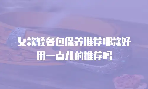 女款轻奢包保养推荐哪款好用一点儿的推荐吗