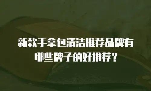 新款手拿包清洁推荐品牌有哪些牌子的好推荐？