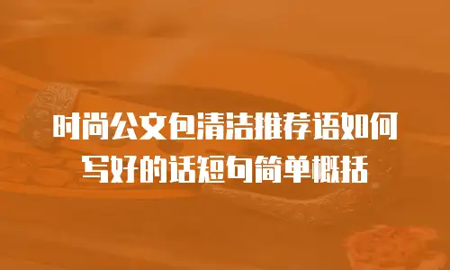 时尚公文包清洁推荐语如何写好的话短句简单概括