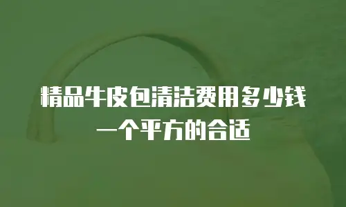 精品牛皮包清洁费用多少钱一个平方的合适