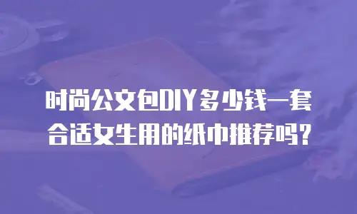 时尚公文包DIY多少钱一套合适女生用的纸巾推荐吗？