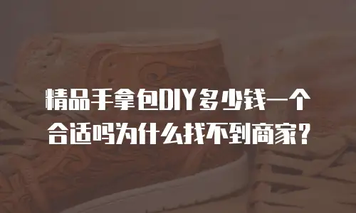 精品手拿包DIY多少钱一个合适吗为什么找不到商家？