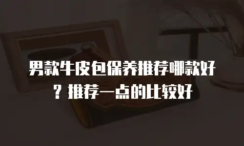 男款牛皮包保养推荐哪款好？推荐一点的比较好