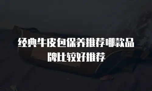 经典牛皮包保养推荐哪款品牌比较好推荐