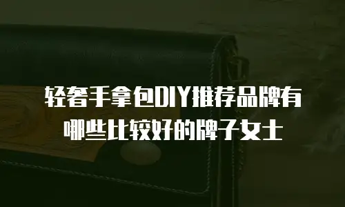 轻奢手拿包DIY推荐品牌有哪些比较好的牌子女士