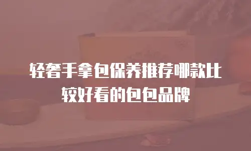 轻奢手拿包保养推荐哪款比较好看的包包品牌