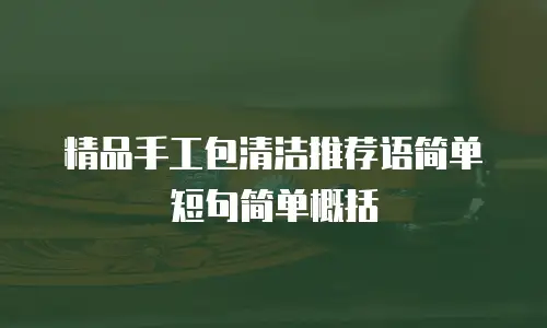 精品手工包清洁推荐语简单短句简单概括