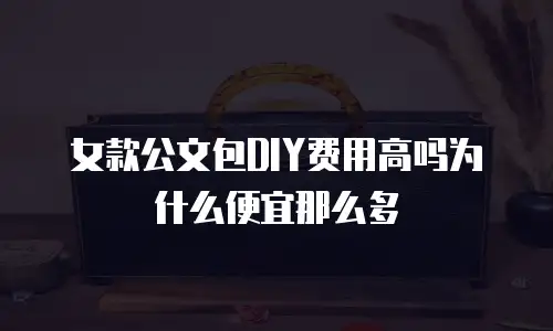 女款公文包DIY费用高吗为什么便宜那么多