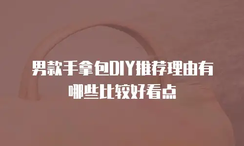 男款手拿包DIY推荐理由有哪些比较好看点